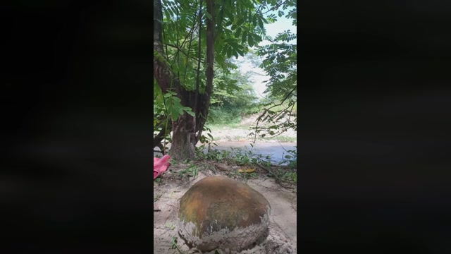 Florecita_Piss  21-05-2022